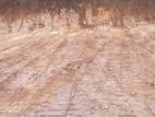 Land for Sale - Welimada