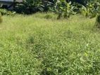 221 Perches Land Sale in Boralesgamuwa