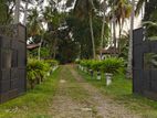 229 Perch Commercial Land for Sale LX020-Biyagama