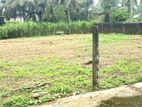 22P Land for Rent in Kottawa