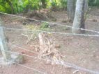 22p Land for Sale at Diyagalawatta Ragama