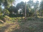 22perch main road facing land for sale in thangalla