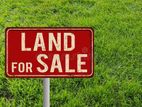23 ACRE LAND FOR SALE IN KURUNEGALA - CL554