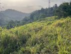 23 Acres Prime Investment Land – Kandy