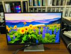 23 IPS Display Wide Dell Full HD Monitor