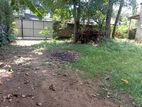 23 Perch Land with House for Sale Maharagama