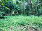 23 Perches Land for Sale in Akarangaha Badalgama