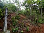 230 Perches Land for Lease Kandy, Pilapitiya