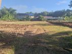 230P Bare Land for Sale in Biyagama Road, Mabima | SL13588