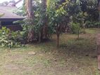 23.1 Perches Land for Sale in Galle.(SSPL-94)