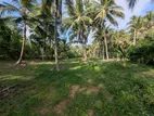 232P Coconut Land - Wariyapola, Keenagaspitiya