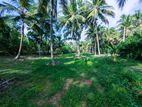 232P Land for Sale Wariyapola - Kalugamuwa Rd, Keenagaspitiya Junction