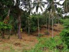 233 Perches Land for Sale in Kadawatha (SL 14020)