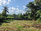 23.5 P Land for Sale in Battaramulla Facing Diyawannawa Lake