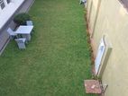 23.5 Perches - Unfurnished House for Sale HL49029