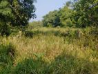 236 PERCH LAND for SALE in DAMBULLA