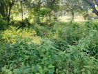 236 Perch Land for Sale in Dambulla