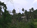 23.6-Perch Land for Sale – Tissamaharama