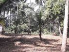 23.6-Perch Land Near Homagama Town