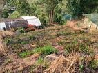 23.8 Perches Land for Sale in Bandarawela