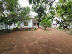23.9 Perches Residential Land for Sale Diyagama