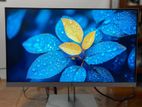 23 Inch Frameless Ips Monitor HP