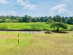 23P Elevated Land Overlooking Beautiful Paddy Field Close to Arangala