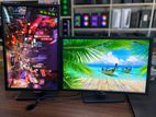 24 Dell IPS Display Full HD Monitor