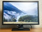 24" Dell IPS Monitor