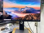 24" Frame-less IPS Panel Monitor - Dell P2422H