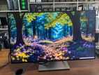 24' Frameless IPS HDMI FHD Wide Rotatable Monitor