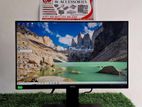 24 Frameless IPS Monitor (75Hz)