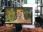 24 " Full HD Monitor HP