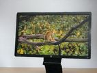 HP 24" Full HD Monitor