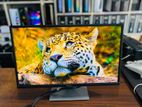 24 HDMI Dell IPS Display Full HD Monitor