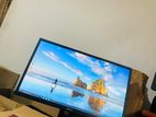 24 Inch LED Wide 1080P Full HD Monitor