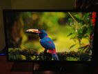 24 Inch Monitor