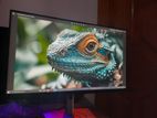 24 Inch Mornitor Ips Frameless
