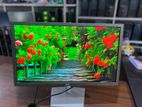 24'' LED Wide Full HD Monitor