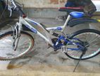 24 Mauntan Bicycle