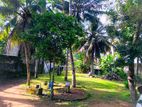 24 P Residential Property for Sale in Dehiwala