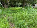 24 Perch Land for Sale in Gampola
