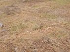 24 Perch Land for Sale in Kandawala