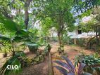 24 Perch Land with House for Sale – Koswatta Road, Nawala