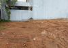 24 PERCH PRIME COMMERCIAL LAND FOR LEASE AT LAKE ROAD | LH 03662 - Widok 6
