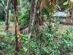 24 Perches Land For Sale in Kadawatha (SSPL-410)