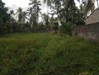 24 Perches Land for Sale in Panadura