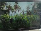 24 Soflogic LED Tv