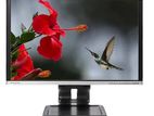 24" Wide HD Screen Monitor