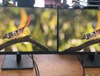 24’’ Wide IPS Frameless HDMI Monitor